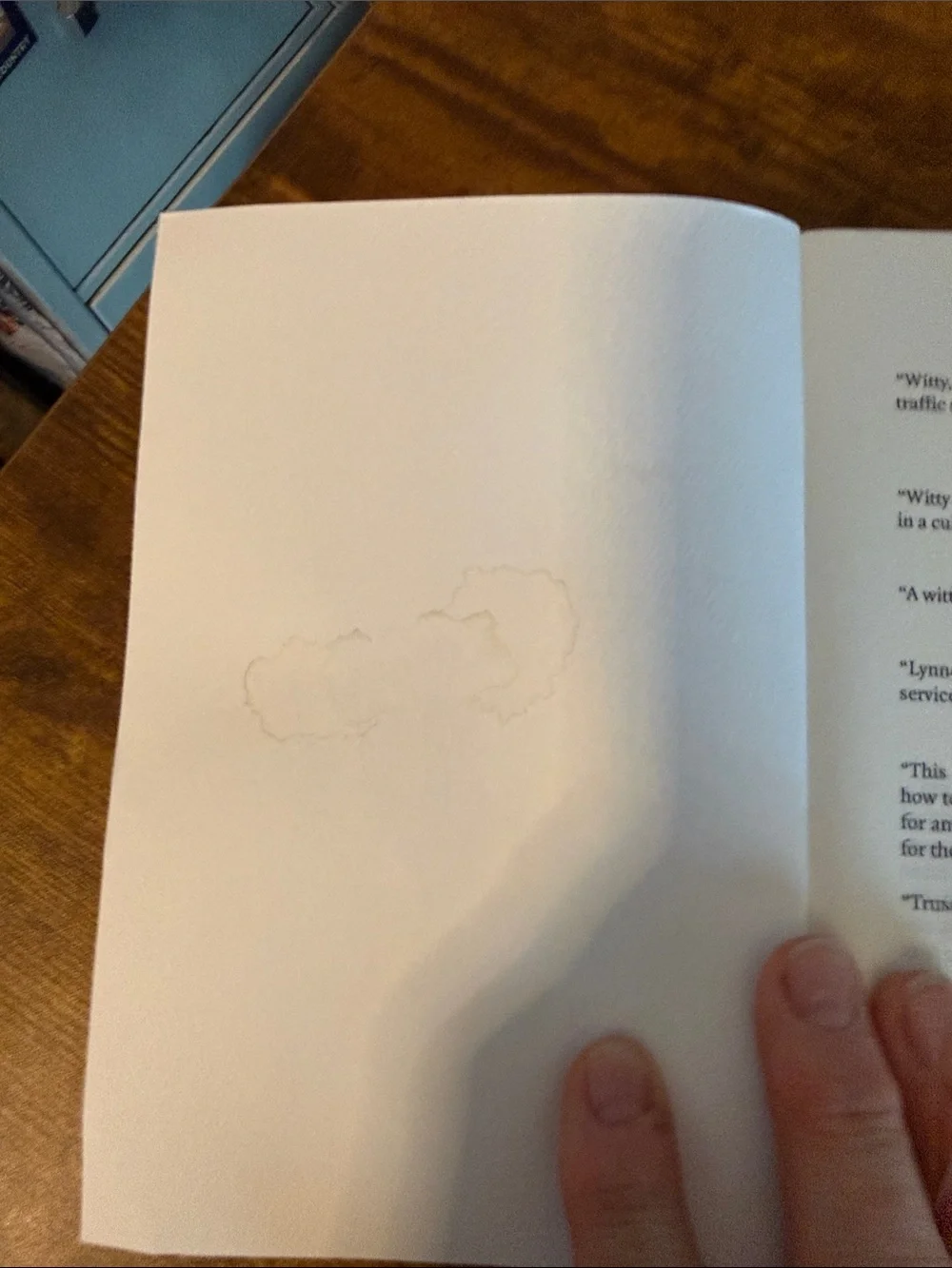 Eats, Shoots & Leaves Book (2006) softcover